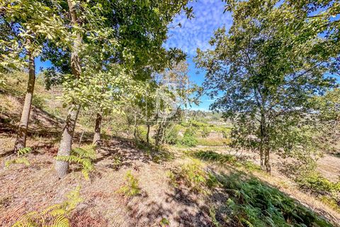 Helårsgrund i Baiao, Porto, Baiao - € 118.000 | Ref: 20251128DR/12937 - foto 31