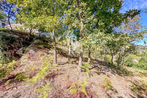 Helårsgrund i Baiao, Porto, Baiao - € 118.000 | Ref: 20251128DR/12937 - foto 32