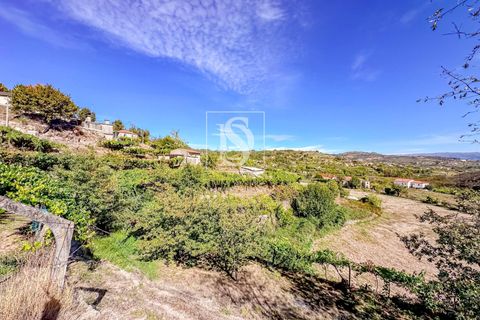 Helårsgrund i Baiao, Porto, Baiao - € 118.000 | Ref: 20251128DR/12937 - foto 33