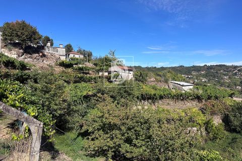 Helårsgrund i Baiao, Porto, Baiao - € 118.000 | Ref: 20251128DR/12937 - foto 34
