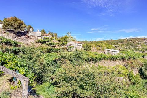 Helårsgrund i Baiao, Porto, Baiao - € 118.000 | Ref: 20251128DR/12937 - foto 35