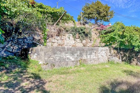 Helårsgrund i Baiao, Porto, Baiao - € 118.000 | Ref: 20251128DR/12937 - foto 36