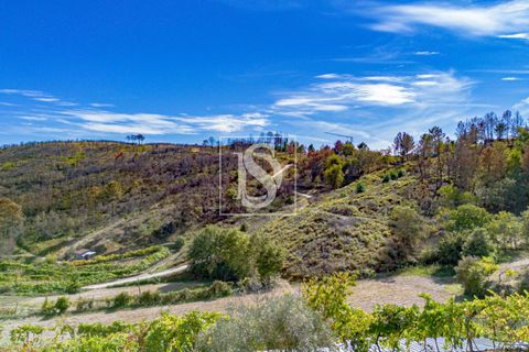 Helårsgrund i Baiao, Porto, Baiao - € 118.000 | Ref: 20251128DR/12937 - foto 37
