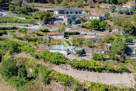 Helårsgrund i Baiao, Porto, Baiao - € 118.000 | Ref: 20251128DR/12937 - foto 38