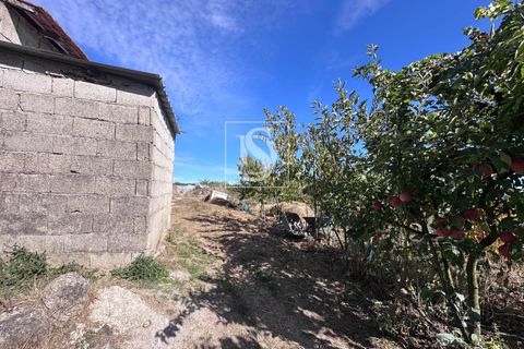 Helårsgrund i Baiao, Porto, Baiao - € 118.000 | Ref: 20251128DR/12937 - foto 40