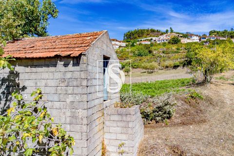 Helårsgrund i Baiao, Porto, Baiao - € 17.000 | Ref: 20251129DR/12937 - foto 3
