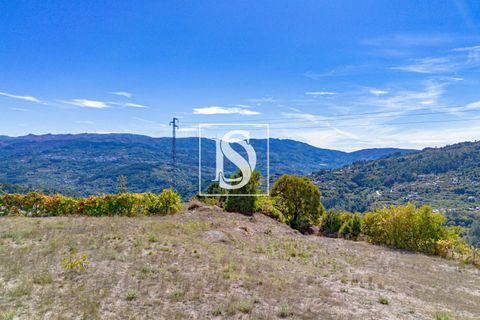 Helårsgrund i Baiao, Porto, Baiao - € 17.000 | Ref: 20251129DR/12937 - foto 4