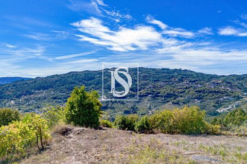 Helårsgrund i Baiao, Porto, Baiao - € 17.000 | Ref: 20251129DR/12937 - foto 8
