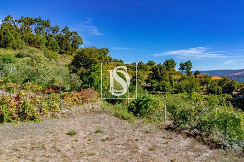 Helårsgrund i Baiao, Porto, Baiao - € 17.000 | Ref: 20251129DR/12937 - foto 9