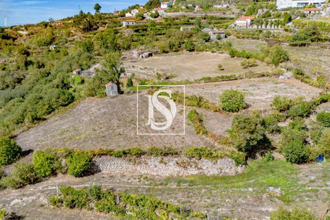 Helårsgrund i Baiao, Porto, Baiao - € 17.000 | Ref: 20251129DR/12937 - foto 12