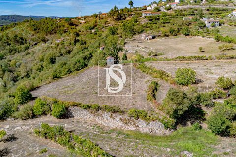 Helårsgrund i Baiao, Porto, Baiao - € 17.000 | Ref: 20251129DR/12937 - foto 13