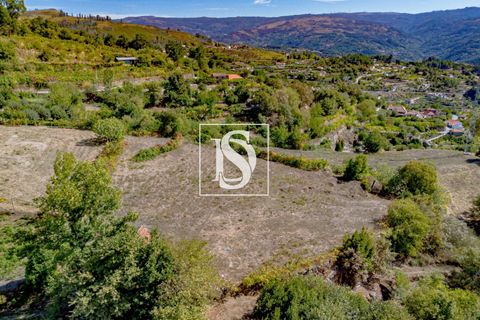 Helårsgrund i Baiao, Porto, Baiao - € 17.000 | Ref: 20251129DR/12937 - foto 14
