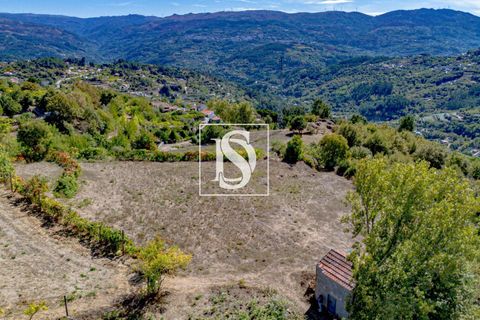 Helårsgrund i Baiao, Porto, Baiao - € 17.000 | Ref: 20251129DR/12937 - foto 15