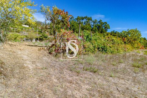 Helårsgrund i Baiao, Porto, Baiao - € 17.000 | Ref: 20251129DR/12937 - foto 17