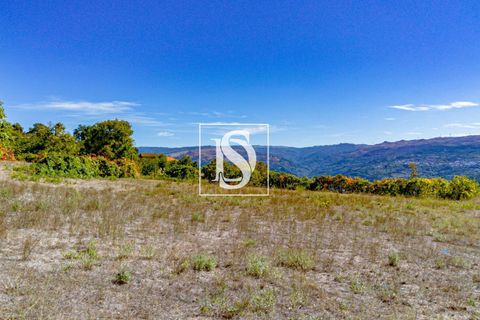 Helårsgrund i Baiao, Porto, Baiao - € 17.000 | Ref: 20251129DR/12937 - foto 18