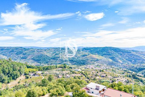 Helårsgrund i Baiao, Porto, Baiao - € 17.000 | Ref: 20251129DR/12937 - foto 19