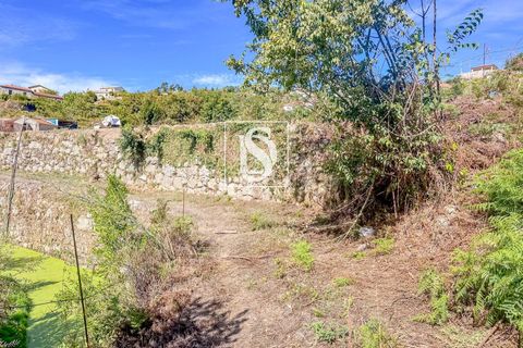 Helårsgrund i Baiao, Porto, Baiao - € 17.000 | Ref: 20251129DR/12937 - foto 20