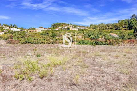 Helårsgrund i Baiao, Porto, Baiao - € 17.000 | Ref: 20251129DR/12937 - foto 21