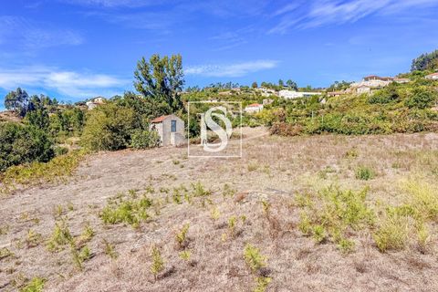 Helårsgrund i Baiao, Porto, Baiao - € 17.000 | Ref: 20251129DR/12937 - foto 22