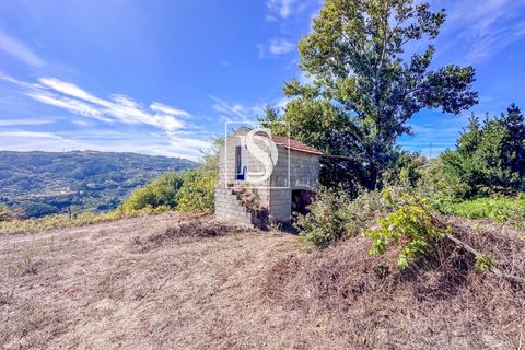 Helårsgrund i Baiao, Porto, Baiao - € 17.000 | Ref: 20251129DR/12937 - foto 24