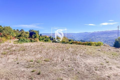 Helårsgrund i Baiao, Porto, Baiao - € 17.000 | Ref: 20251129DR/12937 - foto 25