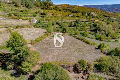 Helårsgrund i Baiao, Porto, Baiao - € 17.000 | Ref: 20251129DR/12937 - foto 27