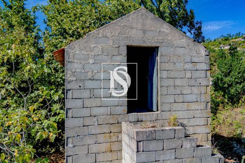 Helårsgrund i Baiao, Porto, Baiao - € 17.000 | Ref: 20251129DR/12937 - foto 28