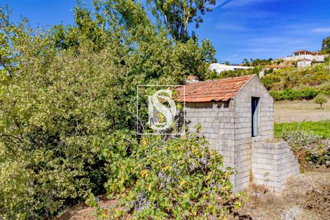 Helårsgrund i Baiao, Porto, Baiao - € 17.000 | Ref: 20251129DR/12937 - foto 30