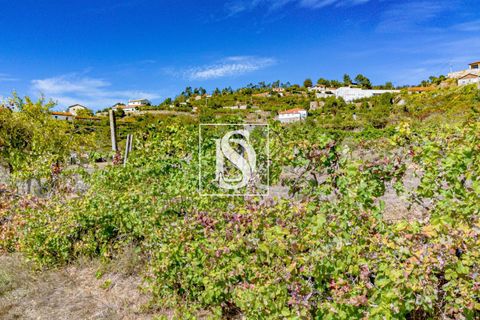 Helårsgrund i Baiao, Porto, Baiao - € 17.000 | Ref: 20251129DR/12937 - foto 31