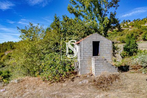 Helårsgrund i Baiao, Porto, Baiao - € 17.000 | Ref: 20251129DR/12937 - foto 32