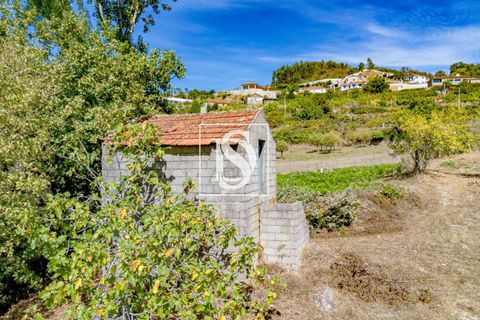 Helårsgrund i Baiao, Porto, Baiao - € 17.000 | Ref: 20251129DR/12937 - foto 34