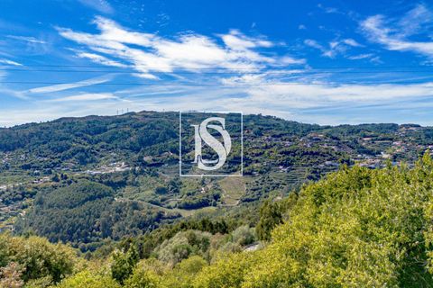 Helårsgrund i Baiao, Porto, Baiao - € 17.000 | Ref: 20251129DR/12937 - foto 36
