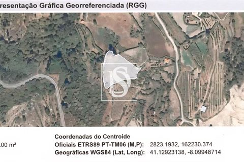 Helårsgrund i Baiao, Porto, Baiao - € 17.000 | Ref: 20251129DR/12937 - foto 37