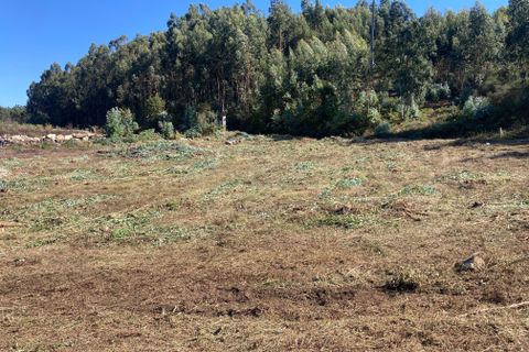 Helårsgrund i Penafiel, Porto, Penafiel - € 125.000 | Ref: C0393-01345 - foto 3