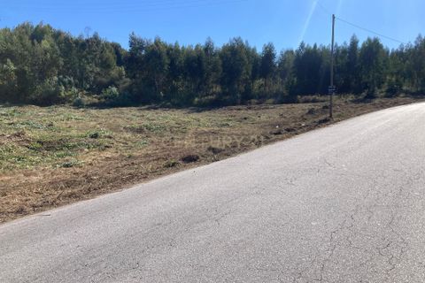 Helårsgrund i Penafiel, Porto, Penafiel - € 125.000 | Ref: C0393-01345 - foto 7