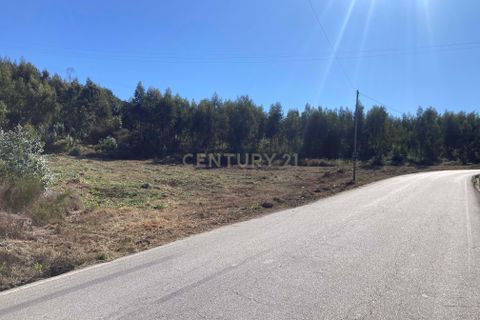 Helårsgrund i Penafiel, Porto, Penafiel - € 125.000 | Ref: C0393-01345 - foto 11