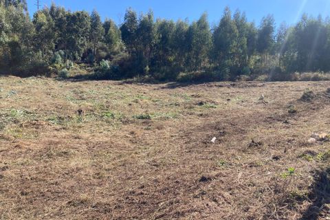 Helårsgrund i Penafiel, Porto, Penafiel - € 125.000 | Ref: C0393-01345 - foto 12