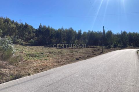 Helårsgrund i Penafiel, Porto, Penafiel - € 125.000 | Ref: C0393-01345 - foto 13