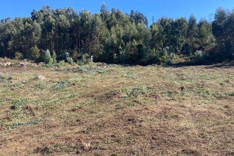Helårsgrund i Penafiel, Porto, Penafiel - € 125.000 | Ref: C0393-01345 - foto 14