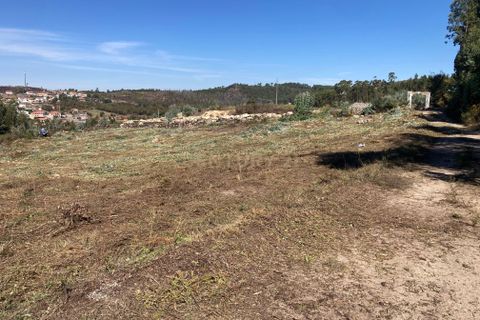Helårsgrund i Penafiel, Porto, Penafiel - € 125.000 | Ref: C0393-01345 - foto 16