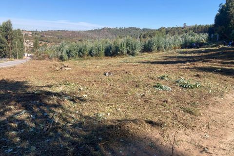 Helårsgrund i Penafiel, Porto, Penafiel - € 125.000 | Ref: C0393-01345 - foto 18