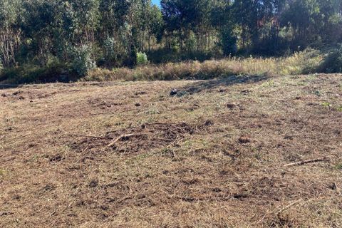 Helårsgrund i Penafiel, Porto, Penafiel - € 125.000 | Ref: C0393-01345 - foto 20