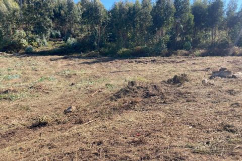 Helårsgrund i Penafiel, Porto, Penafiel - € 125.000 | Ref: C0393-01345 - foto 22