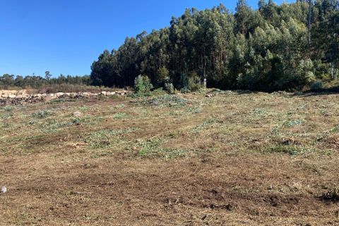 Helårsgrund i Penafiel, Porto, Penafiel - € 125.000 | Ref: C0393-01345 - foto 25