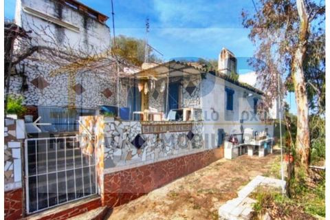 Landejendom i Elvas, Portalegre, Elvas - € 46.000 | Ref: CAS_58 - foto 9