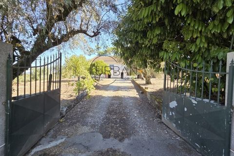 Villa a Nelas, Viseu, Nelas - € 210.000 | Ref: 0180 - foto 17