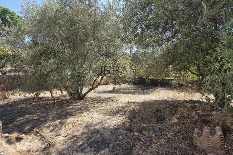 Villa a Nelas, Viseu, Nelas - € 210.000 | Ref: 0180 - foto 23
