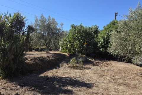 Villa a Nelas, Viseu, Nelas - € 210.000 | Ref: 0180 - foto 24