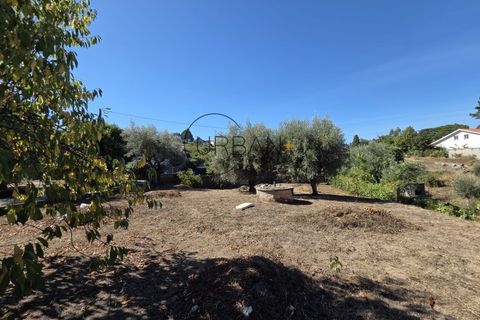 Villa a Nelas, Viseu, Nelas - € 210.000 | Ref: 0180 - foto 25