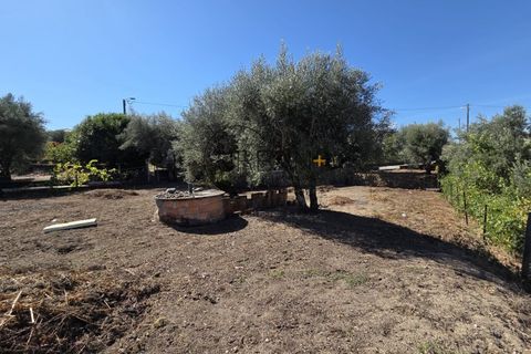 Villa a Nelas, Viseu, Nelas - € 210.000 | Ref: 0180 - foto 26